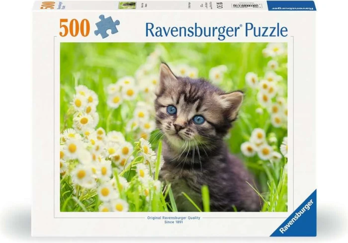 4005555003670.jpg
