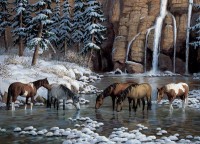 cobble-hill-outset-media-spirit-of-the-rockies-jigsaw-puzzle-1000-pieces.64996-1.fs.jpg