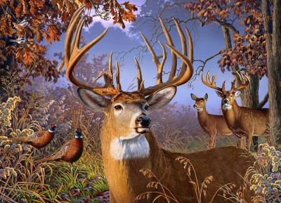 Cobble Hill 1000 - Jack Pine - Deer and Pheasant