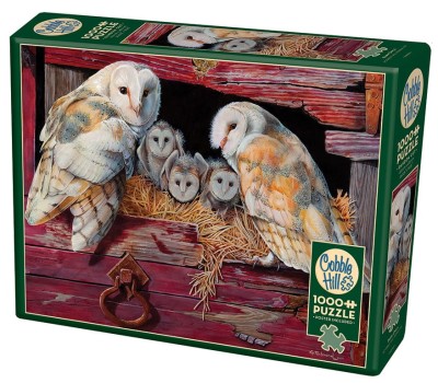 Cobble Hill 1000 - Barn Owls