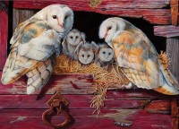 cobble-hill-outset-media-barn-owls-jigsaw-puzzle-1000-pieces.77031-1.fs.jpg