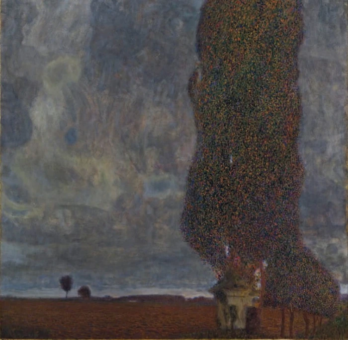 gustav-klimt-le-grand-peuplier-ii-1902-puzzle-1500-pieces_45322-1_fs.jpg