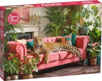 csPhotos_Photo_53790763-BCCF-4D28-BBEB-CD66F5AD311E_1.png