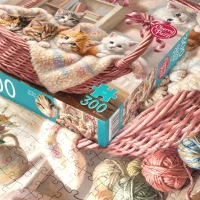 csPhotos_Photo_E1A970FD-EBD8-4B40-B761-C4BF53384BED_1.png