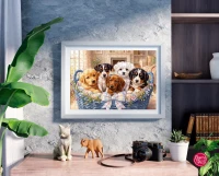 csPhotos_Photo_8F5E2EE3-8D0F-4983-9539-FEF8F4E9743F_1.png