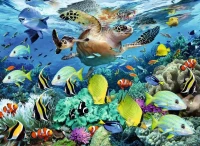 10009_1.webp