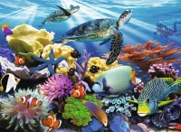 12608_1.webp