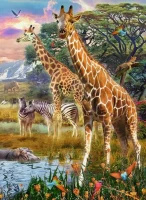 12943_1.webp