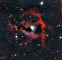 gros-plan-de-la-tete-de-la-nebuleuse-de-la-mouette-puzzle-1500-pieces_49732-1_fs.jpg