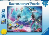 13296.webp