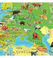 puzzle-edukacyjne-200-element_99645.jpg