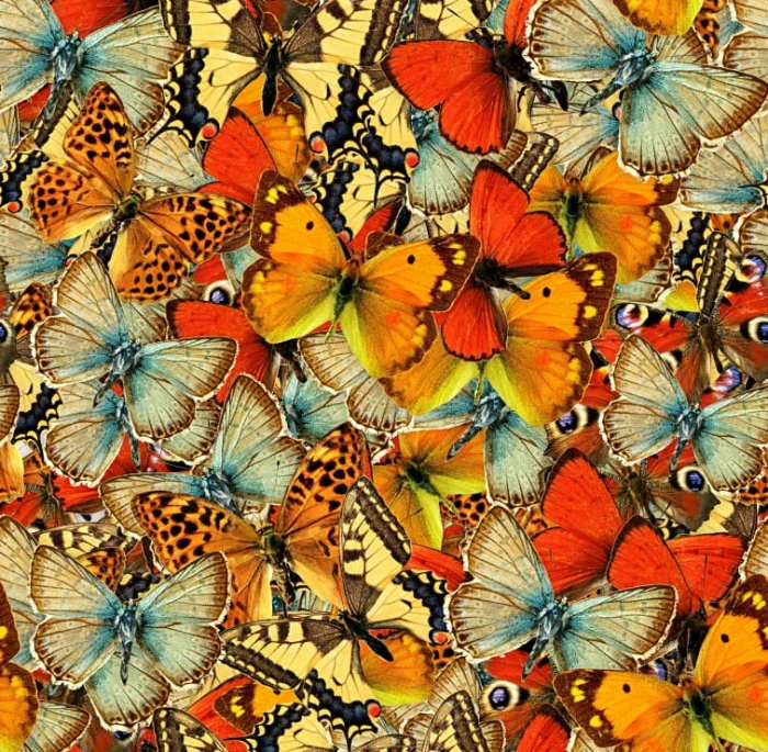 butterflies-butterflies-butterflies-jigsaw-puzzle-1500-pieces_50279-1_fs.jpg