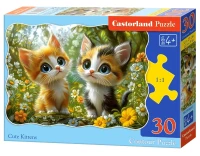 03884-1_box.webp.webp