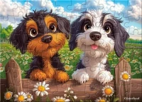 066353_puzz.webp.webp