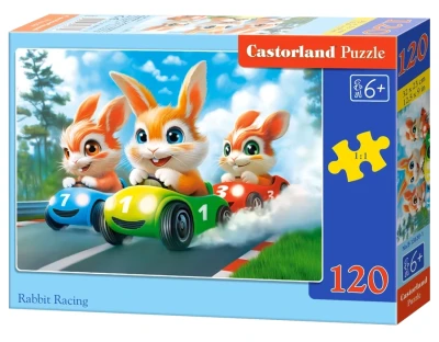 Castorland 60 - Rabbit Racing