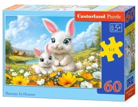 066315_box.webp.webp