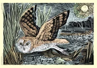 adult-sustainable-jigsaw-puzzle-angela-harding-marsh-owl-isbn-9781787556126.2.0.jpg