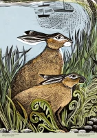 adult-jigsaw-puzzle-angela-harding-rathlin-hares-500-pieces-isbn-9781839643071.2.0.jpg