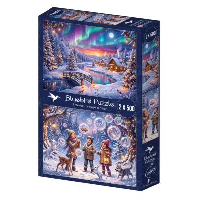 Bluebird 2 x 500 - The Magic of Winter