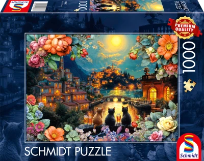 Schmidt 1000 - Trio w blasku księżyca