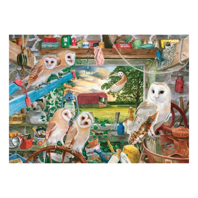 House of Puzzles 500 XXL - Tracy Hall, Night Owls