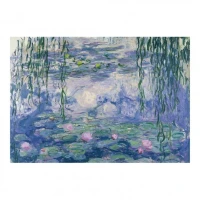 lisciani-puzzle-art-gift-set-claude-monet-water-lilies-500-pieces-120659 (1).jpg