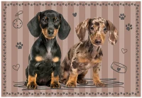 Puzzle 250 Puppy Sign 5 Dachshunds 5902277405579 plansza_bez_wykrojnika 72ppi.jpg