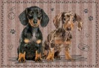 Puzzle 250 Puppy Sign 5 Dachshunds 5902277405579 plansza 72ppi.jpg