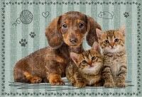 Puzzle 250 Puppy Sign 7 Friends 5902277405593 plansza 72ppi.jpg