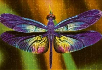 Puzzle 250 Colourful Nature 3 Dragonfly 5902277342010 plansza 72ppi.jpg