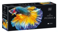 Puzzle 250 Colourful Nature 6 Fish 5902277342041 pudelko 72ppi.jpg
