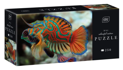 InterDruk 250 Colourful Nature 11 Mandarinfish