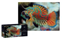 Puzzle 250 Colourful Nature 11 Mandarinfish 5902277385574 (5).jpg