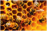 Puzzle 250 Colourful Nature 12 Bees 5902277405791 plansza_bez_wykrojnika 72ppi.jpg