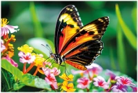 Puzzle 250 Colourful Nature 13 Postman Butterfly 5902277405807 plansza_bez_wykrojnika 72ppi.jpg