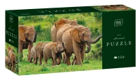 Puzzle 250 Wild Animals 2 Elephants 5902277404985 pudelko 72ppi.jpg
