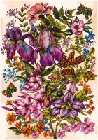 Puzzle 500 Flowers 7 Wild Violet 5902277405890 plansza_bez_wykrojnika 72ppi.jpg
