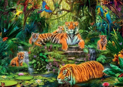 Jumbo 1000 - Family of tigers at the Oasi