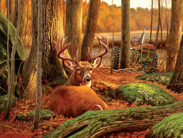 where-sleeping-deer-lie-jigsaw-puzzle-500-pieces.82405-1.fs.jpg