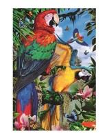 pretty-parrots-jigsaw-puzzle-1000-pieces_53196-1_fs.jpg