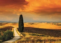 sunset-in-tuscany-jigsaw-puzzle-1000-pieces_57948-1_fs.jpg