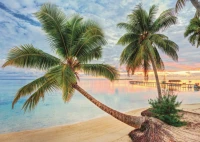french-polynesia-jigsaw-puzzle-1000-pieces_57949-1_fs.jpg