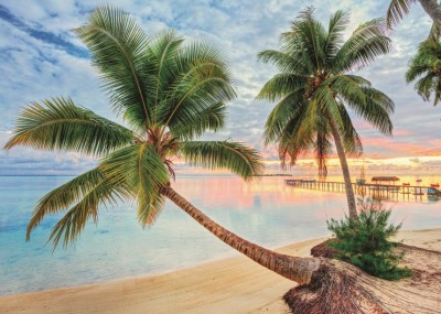 Jumbo 1000 - French Polynesia