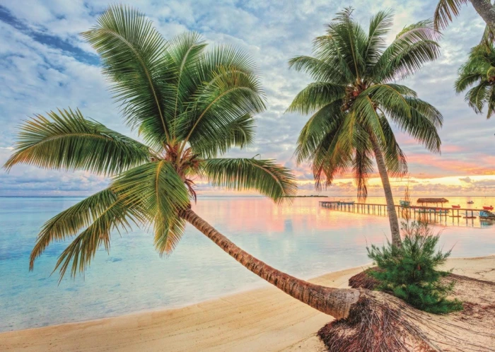 french-polynesia-jigsaw-puzzle-1000-pieces_57949-1_fs.jpg
