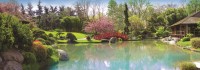 colored-garden-jigsaw-puzzle-1000-pieces_57993-1_fs.jpg