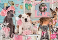 studio-pets-true-love-jigsaw-puzzle-1000-pieces_60255-1_fs.jpg