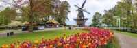 mill-holland-jigsaw-puzzle-1000-pieces_63561-1_fs.jpg