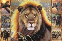 african-beauty-jigsaw-puzzle-1500-pieces_53180-1_fs.jpg