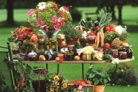 fruit-and-vegetables-jigsaw-puzzle-1500-pieces_60237-1_fs.jpg