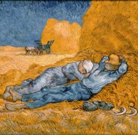 van-gogh-vincent-la-sieste-dapres-millet-1890-puzzle-1500-pieces_49166-1_fs.jpg